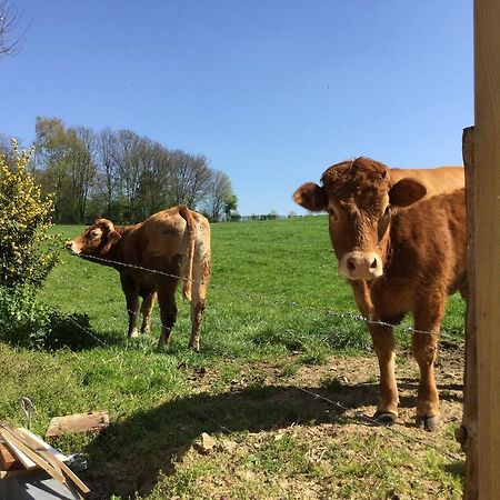 Vakantiewoning Kleijnen Noorbeek Esterno foto