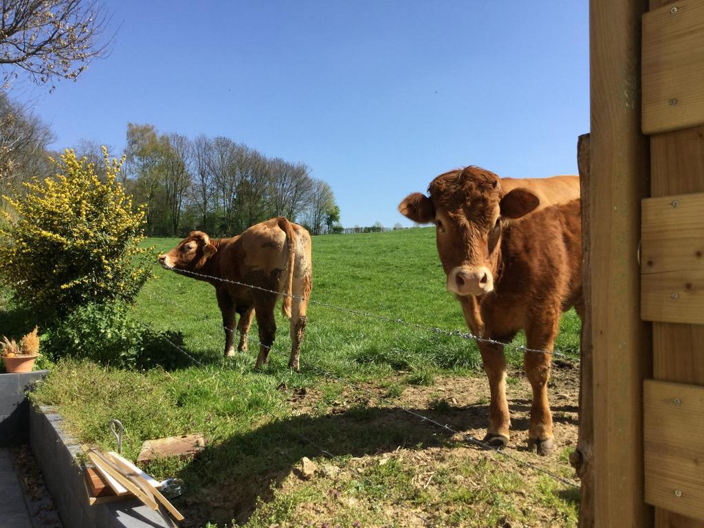 Vakantiewoning Kleijnen Noorbeek Esterno foto